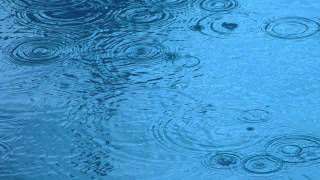 【リラックス脳波】 美しい雨の音 3時間 【ヒーリング】 Sound of Rain 3 Hours